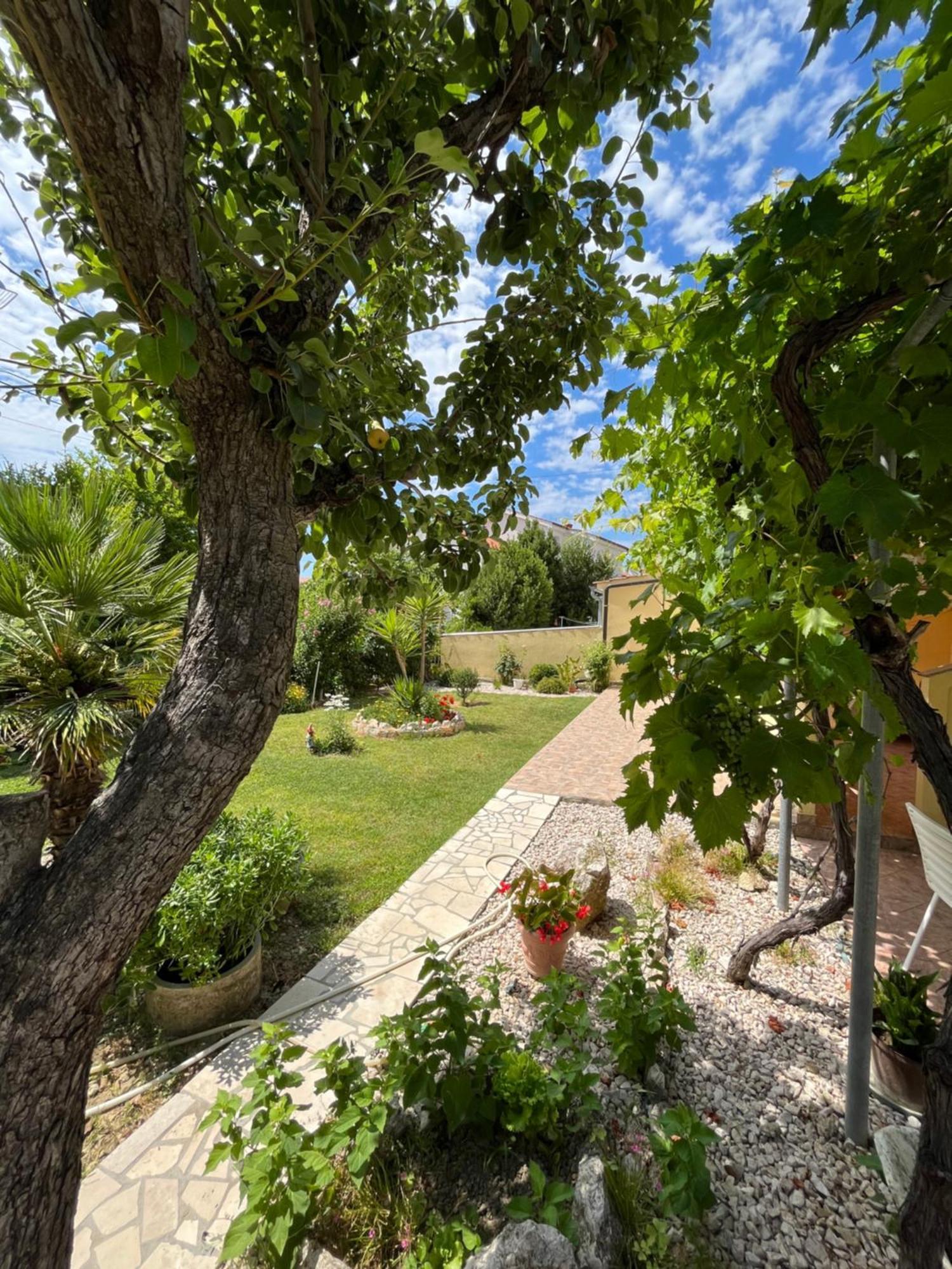Apartments And Rooms Markovski Palit Exterior photo